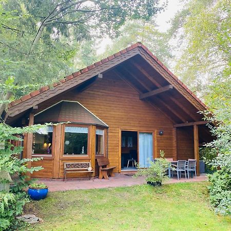 Ferienhaus Svenja, Wiefelstede-Lehe Zewnętrze zdjęcie